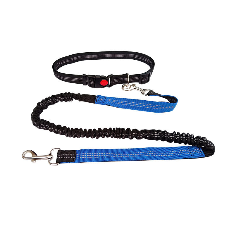 Robuste Hundeleine Sport