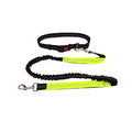 Robuste Hundeleine Sport