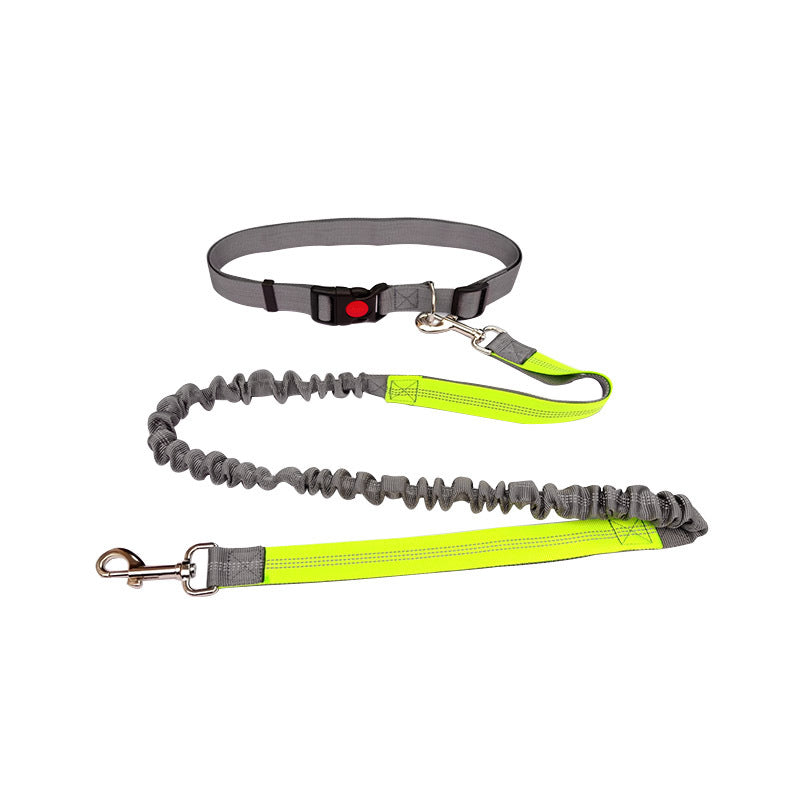Robuste Hundeleine Sport