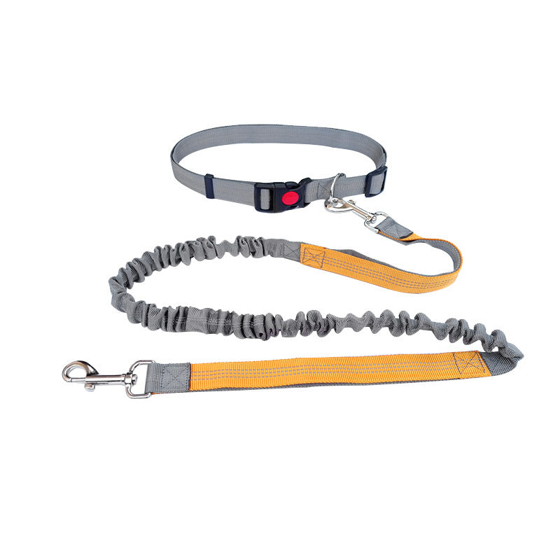 Robuste Hundeleine Sport