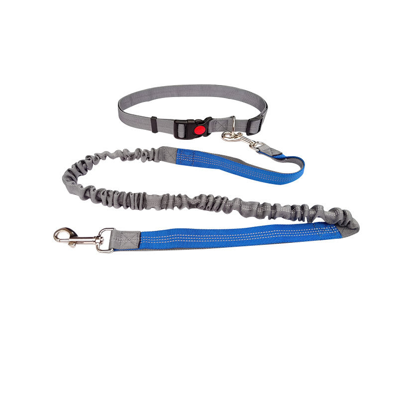 Robuste Hundeleine Sport