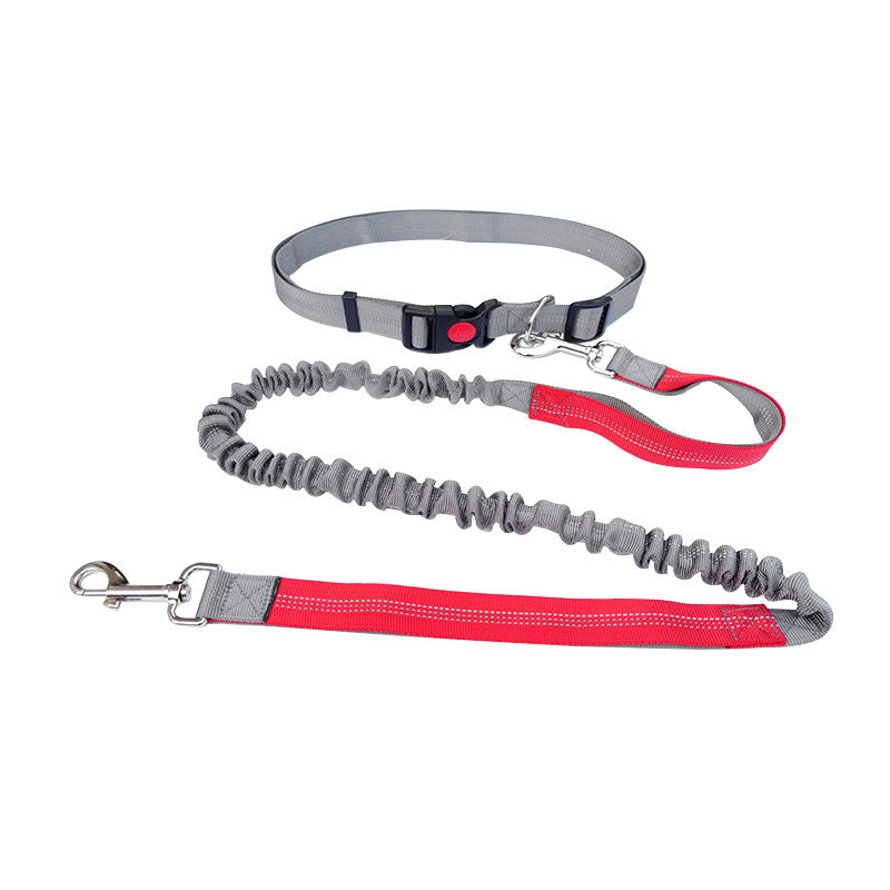 Robuste Hundeleine Sport