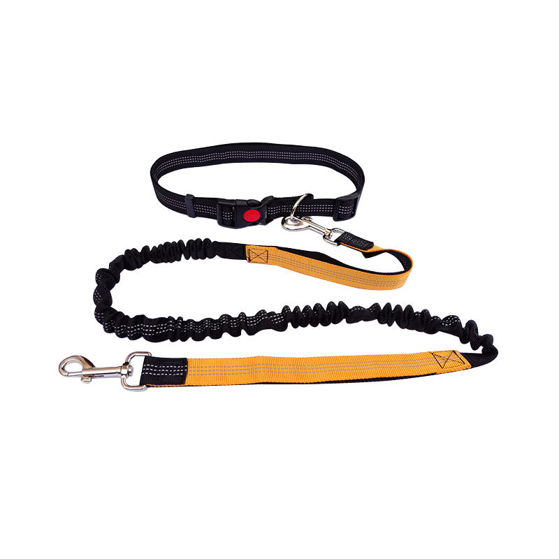 Robuste Hundeleine Sport
