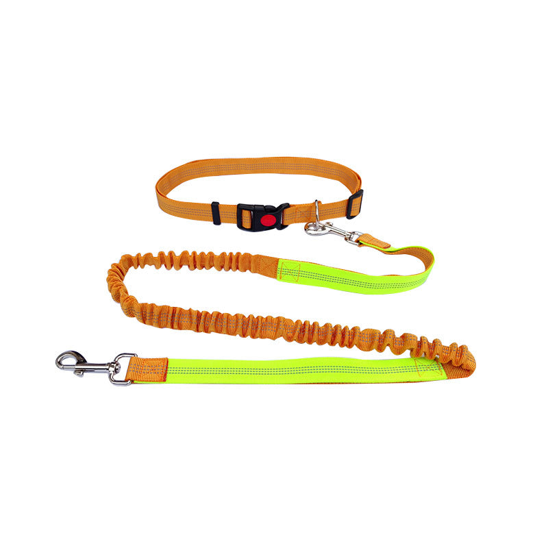 Robuste Hundeleine Sport