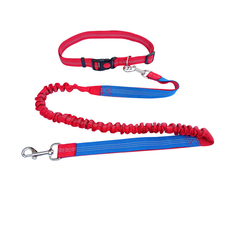 Robuste Hundeleine Sport