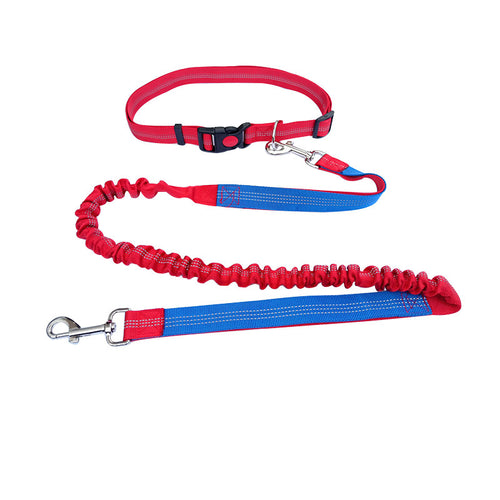 Robuste Hundeleine Sport