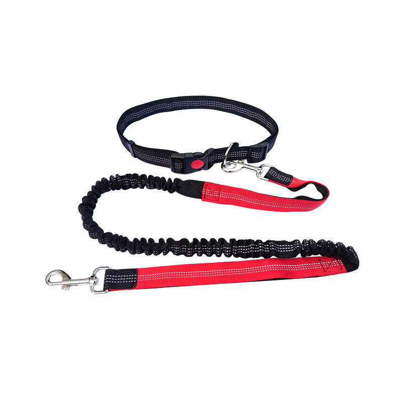 Robuste Hundeleine Sport