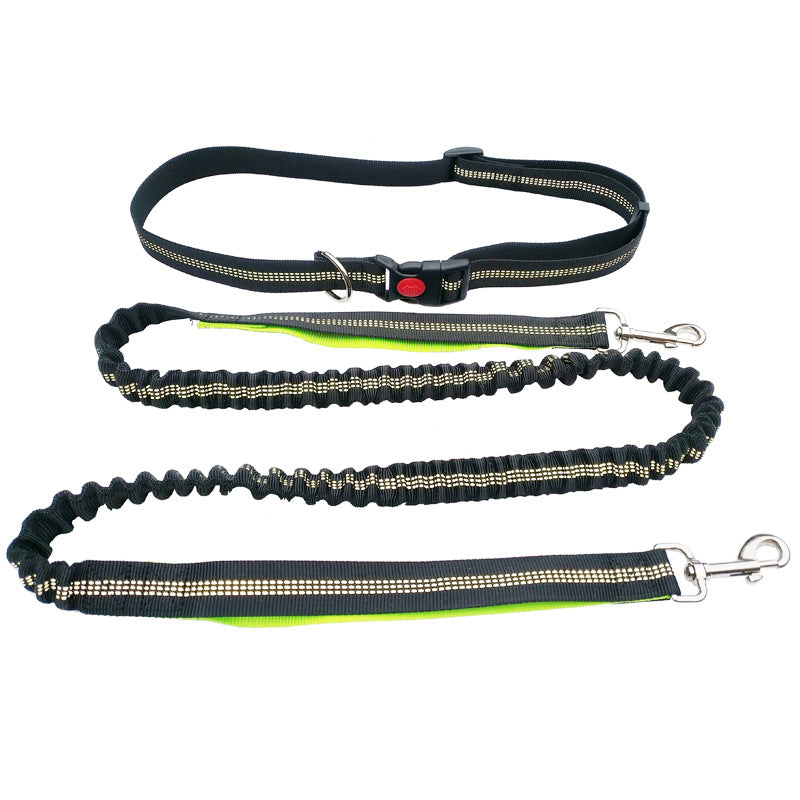 Robuste Hundeleine Sport