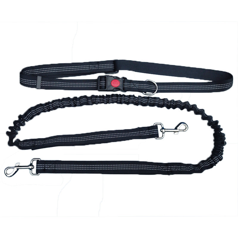 Robuste Hundeleine Sport