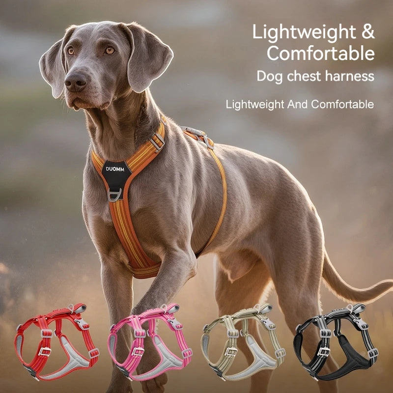 Reflektierendes Hundegeschirr mit Leine – Sicher & Komfortabel