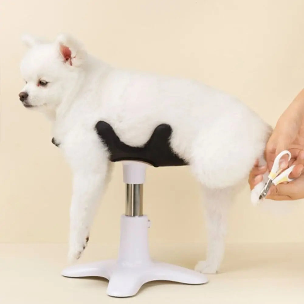 Hunde-Pflegetisch mit Metallgestell – Höhenverstellbar