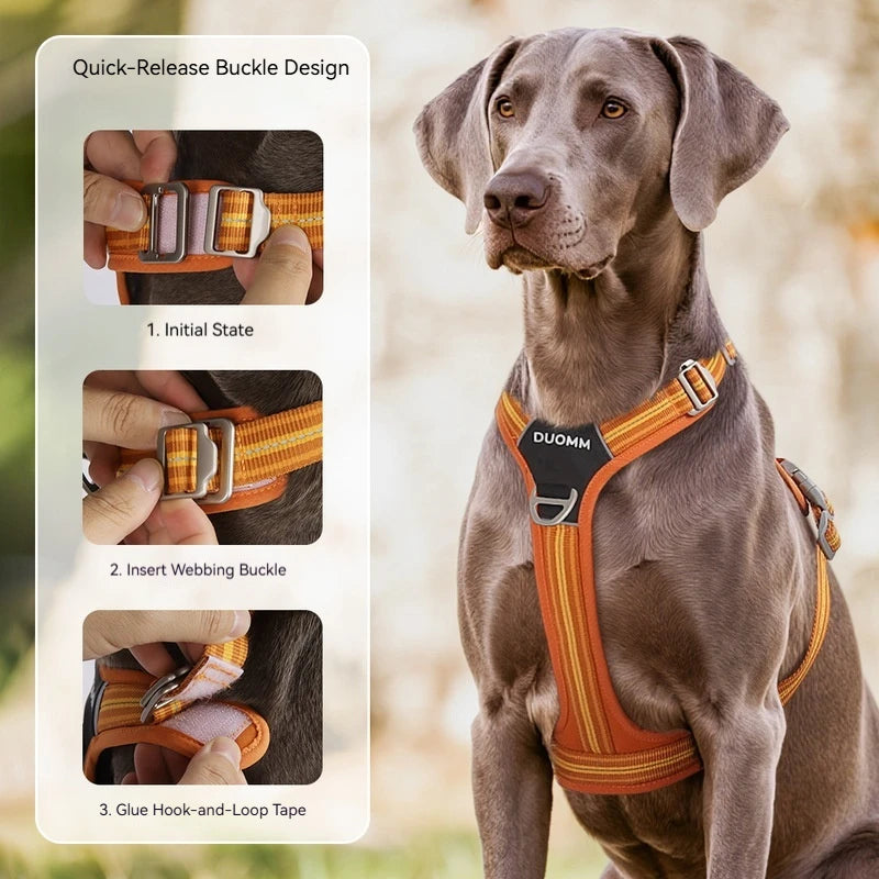 Reflektierendes Hundegeschirr mit Leine – Sicher & Komfortabel