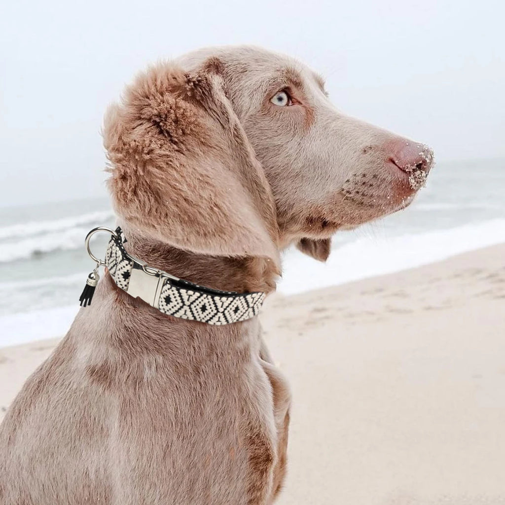 Boho-Hundehalsband – Verstellbar & Stilvoll