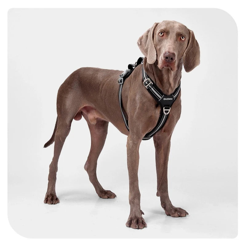 Reflektierendes Hundegeschirr mit Leine – Sicher & Komfortabel