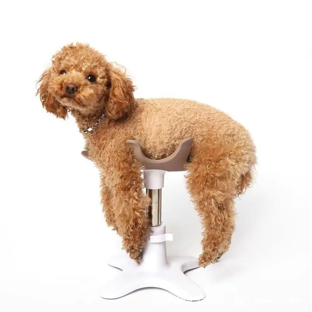 Hunde-Pflegetisch mit Metallgestell – Höhenverstellbar